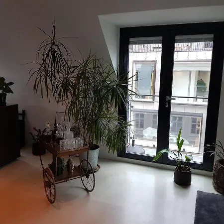 Luxury Penthouse With Private Rooftop Terrace *
